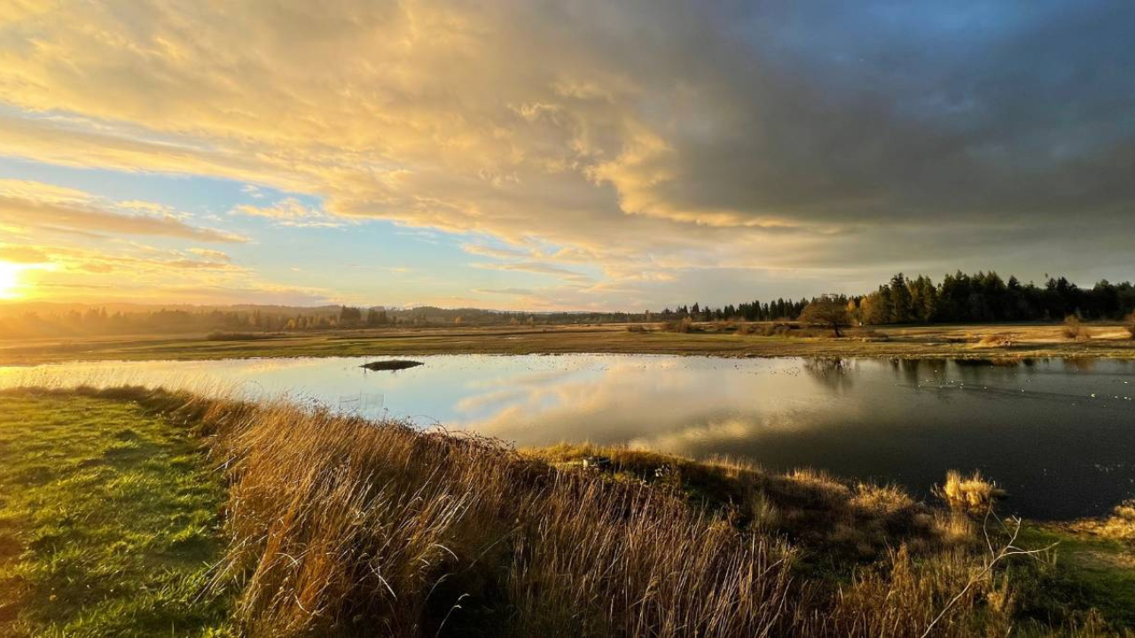 Life Lessons for Personal Growth